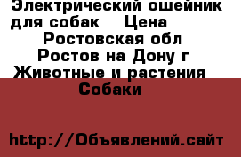 Электрический ошейник для собак! › Цена ­ 1 500 - Ростовская обл., Ростов-на-Дону г. Животные и растения » Собаки   